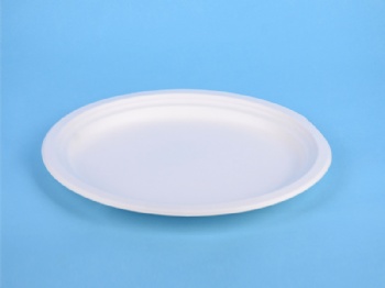 Square plate and oval plate