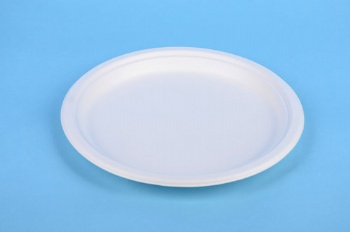 10inch plate