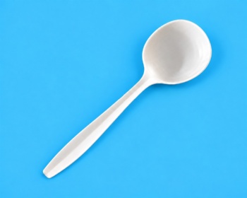 6 inch Soup Spoon