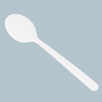 6 inch CPLA Soup Spoon