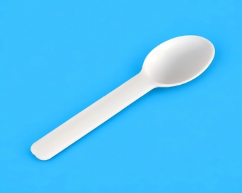 7 inch ice-cream spoon
